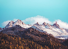 骑士142分血洗灰熊，29记三分创赛季窒息纪录